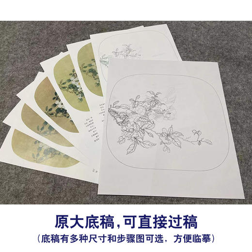 【有步骤、大彩图】李晓明工笔画白描底稿小品《临宋争禽图 》麻雀白山茶初学者临摹花鸟线稿KL13 商品图1