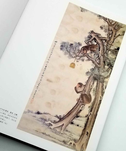 《道心瑞彩：近五百年画海拾微》，16开精装函套，2册，铜版彩印，李太生编，文物出版社2015年版，定价880，售价316元。非偏远地区包邮 商品图7