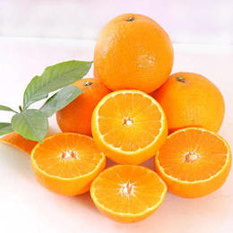 橙子一斤（约5-6个）
