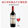 法国进口威尔将军精品干红葡萄酒 750ml 商品缩略图1