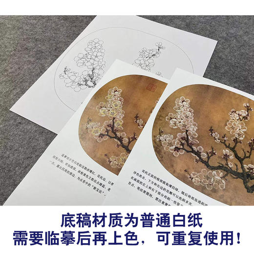 【有步骤、大彩图】李晓明工笔画白描底稿小品《杏花图》初学者临摹花鸟线稿KL11 商品图3