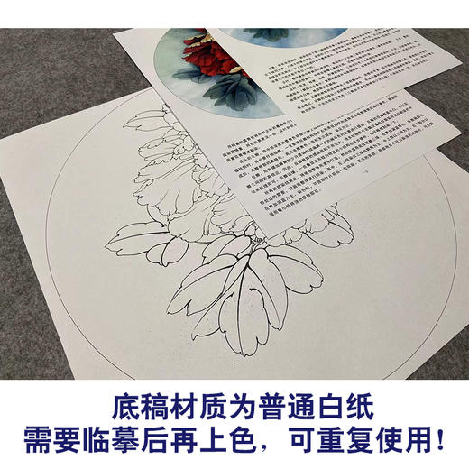 【有步骤、大彩图】李晓明工笔画白描底稿圆形小品《金背大红》牡丹初学者临摹花鸟线稿KA02 商品图3