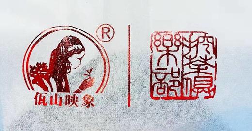 【挖茶】梅香普洱100g/盒 出口品质 放心品鉴 新增红色喜庆款 商品图7