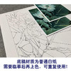 【有步骤、大彩图】李晓明工笔画白描底稿斗方小品《荷池清梦》荷花初学者临摹花鸟线稿K088 商品缩略图3
