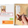 山东青州霜降吊柿柿饼 -单独发/不是溏心的 商品缩略图13