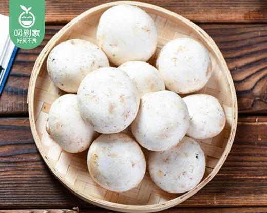 【叼鲜蔬】漳州新鲜白蘑菇/1份（约200g） 商品图6