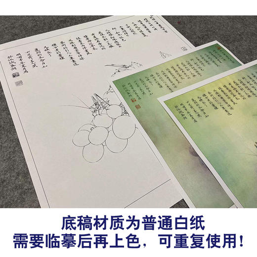 【有步骤、大彩图】李晓明工笔画白描底稿斗方小品《葡萄螽斯图》葡萄初学者临摹勾线花鸟线稿KA11 商品图3