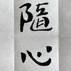 【挖茶】福鼎白茶随心S001由孙立平教授拼配 100g/饼 商品缩略图3