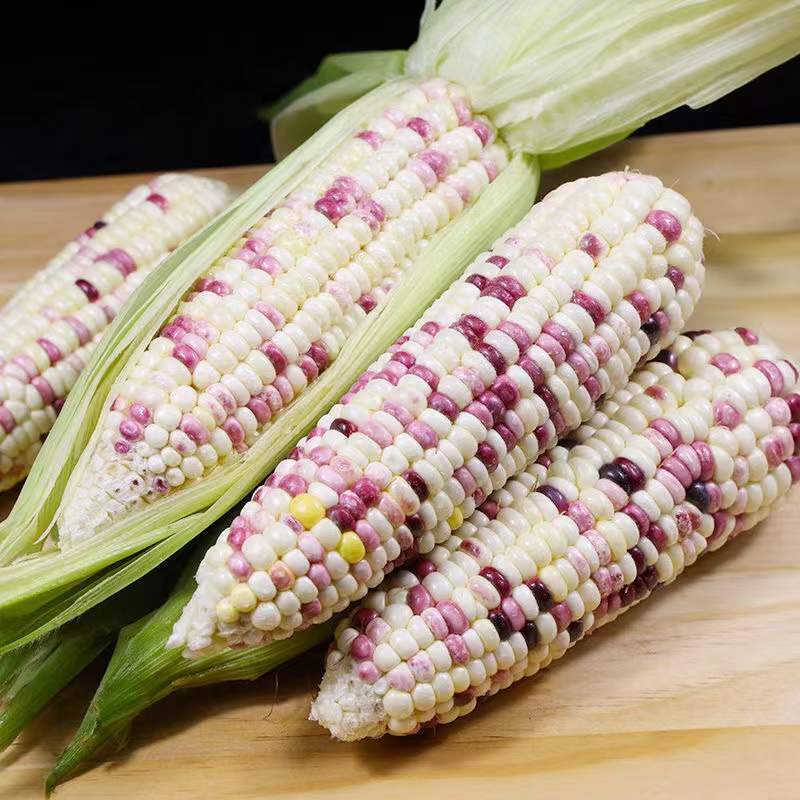 新鲜花玉米(大棒子)3个装