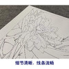 【有步骤、大彩图】李晓明工笔画白描底稿斗方小品《荷池清梦》荷花初学者临摹花鸟线稿K088 商品缩略图4