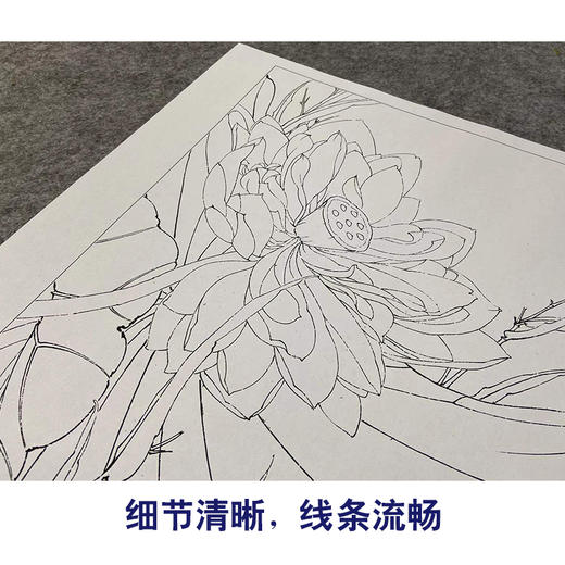【有步骤、大彩图】李晓明工笔画白描底稿斗方小品《荷池清梦》荷花初学者临摹花鸟线稿K088 商品图4