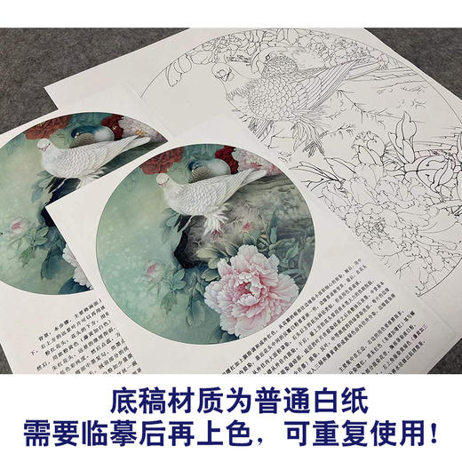 【有步骤、大彩图】李晓明工笔画白描底稿圆形小品《满园芳菲》牡丹鸽子初学者临摹花鸟线稿KL26 商品图3