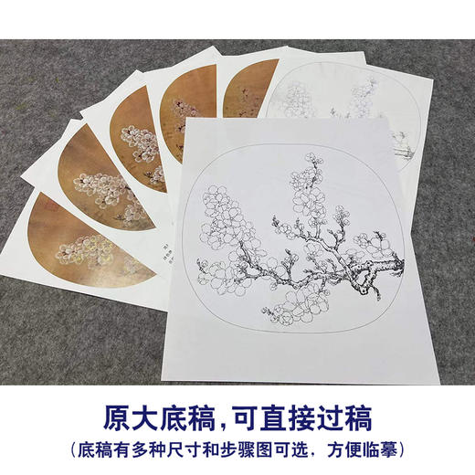 【有步骤、大彩图】李晓明工笔画白描底稿小品《杏花图》初学者临摹花鸟线稿KL11 商品图1