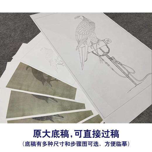 【有步骤、大彩图】李晓明工笔画白描底稿《架上鹰图》老鹰初学者临摹花鸟线稿KL15 商品图1