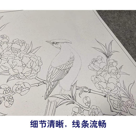 【有步骤、大彩图】李晓明工笔画白描底稿斗方小品《临宋桃花山鸟图》初学者临摹花鸟线稿KL12 商品图4