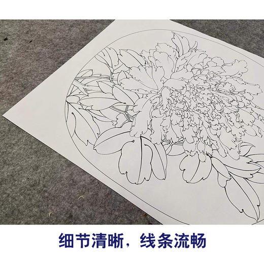 【有步骤、大彩图】李晓明工笔画白描底稿小品《烟笼翠》牡丹初学者临摹花鸟线稿KL17 商品图4
