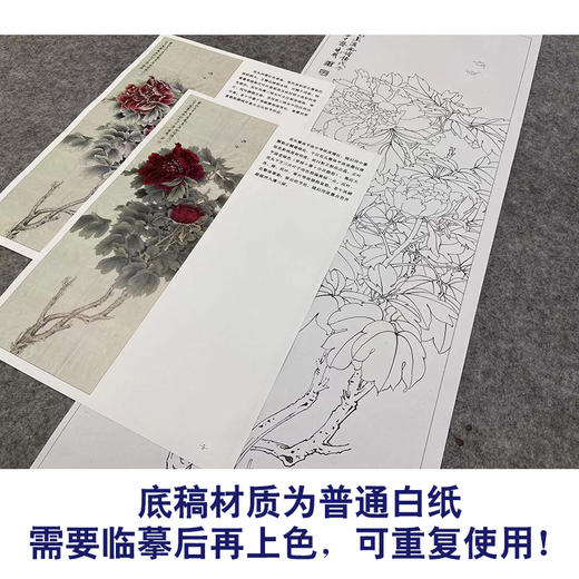 【有步骤、大彩图】李晓明工笔画白描底稿《临于非闇墨洒金》牡丹初学者临摹花鸟线稿KL19 商品图3