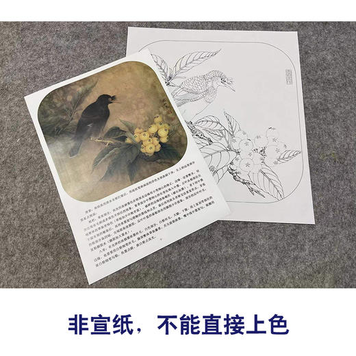 【有步骤、大彩图】李晓明工笔画白描底稿斗方小品《八哥枇杷图》乌鸦初学者临摹花鸟线稿KL01 商品图2