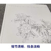 【有步骤、大彩图】李晓明工笔画白描底稿斗方小品《白蔷薇图》初学者临摹花鸟线稿KL02 商品缩略图4