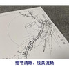 【有步骤、大彩图】李晓明工笔画白描底稿斗方小品《梅竹文鸟图》梅花初学者临摹花鸟线稿KL23 商品缩略图4