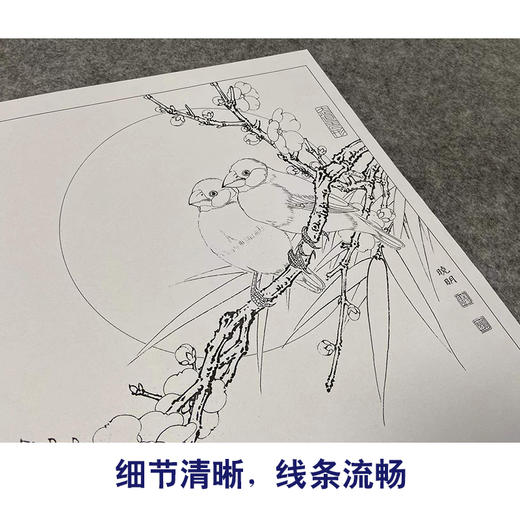 【有步骤、大彩图】李晓明工笔画白描底稿斗方小品《梅竹文鸟图》梅花初学者临摹花鸟线稿KL23 商品图4