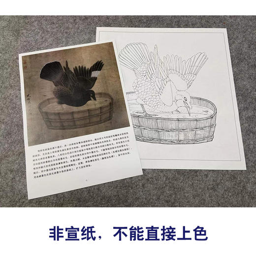 【有步骤、大彩图】李晓明工笔画白描底稿斗方小品《禽浴图》乌鸦临摹勾线动物线稿K064 商品图2