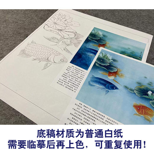 【有步骤、大彩图】李晓明工笔画白描底稿斗方小品《睡莲金龙鱼》荷花初学者临摹花鸟线稿KL22 商品图3