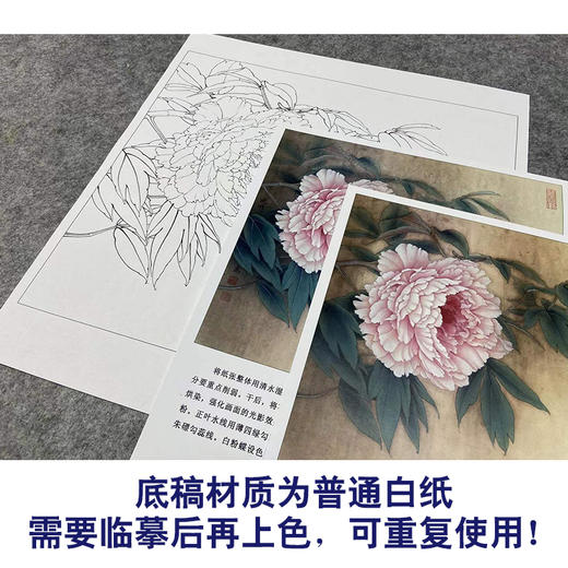 【有步骤、大彩图】李晓明工笔画白描底稿斗方小品《芙蓉面》牡丹初学者临摹勾线花鸟线稿K026 商品图3
