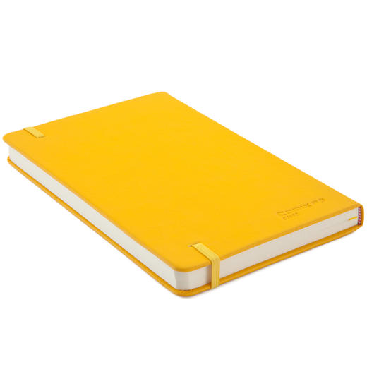 齐心皮面笔记本C5902  A5 122张 商品图4