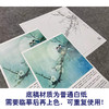 【有步骤、大彩图】李晓明工笔画白描底稿斗方小品《梅竹文鸟图》梅花初学者临摹花鸟线稿KL23 商品缩略图3