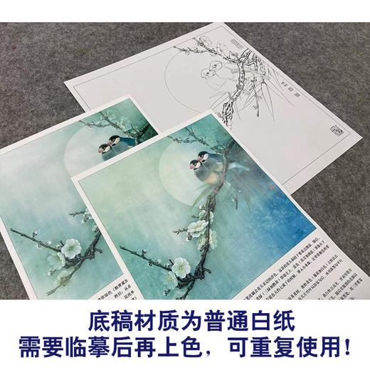 【有步骤、大彩图】李晓明工笔画白描底稿斗方小品《梅竹文鸟图》梅花初学者临摹花鸟线稿KL23 商品图3