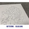 【有步骤、大彩图】李晓明工笔画白描底稿宫扇小品《火炼金丹》牡丹初学者临摹花鸟线稿KL18 商品缩略图4