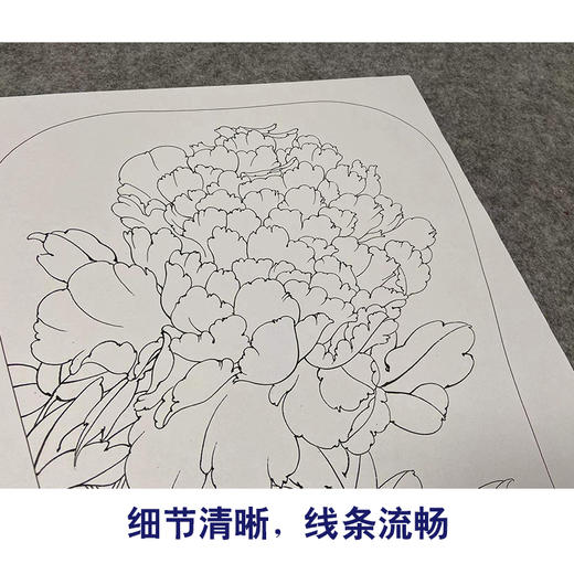 【有步骤、大彩图】李晓明工笔画白描底稿宫扇小品《火炼金丹》牡丹初学者临摹花鸟线稿KL18 商品图4