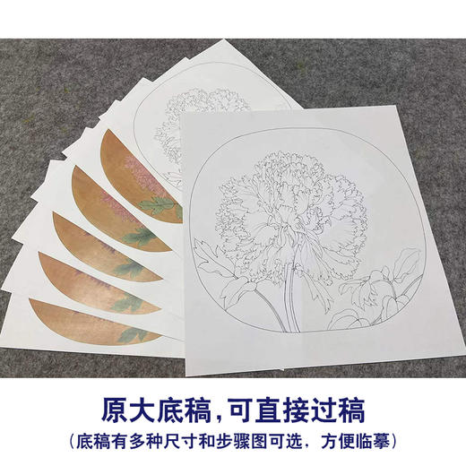【有步骤、大彩图】李晓明工笔画白描底稿圆形小品《临宋品字牡丹图》牡丹初学者临摹花鸟线稿KL08 商品图1