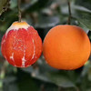 【秭归中华红血橙】 果肉饱满、每一口都汁水四溢，酸甜可口 商品缩略图2