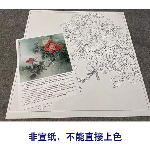 【有步骤、大彩图】李晓明工笔画白描底稿斗方小品《牡丹灰文鸟》初学者临摹花鸟线稿KL20 商品图2