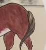 张志能 | 《马》-3 50cm×50cm 商品缩略图3