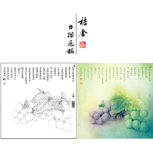 【有步骤、大彩图】李晓明工笔画白描底稿斗方小品《葡萄螽斯图》葡萄初学者临摹勾线花鸟线稿KA11 商品图0