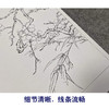【有步骤、大彩图】李晓明工笔画白描稿斗方小品《临宋梅竹图页》梅花竹子初学者临摹花鸟线稿KL07 商品缩略图4