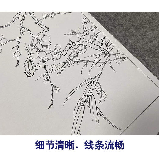 【有步骤、大彩图】李晓明工笔画白描稿斗方小品《临宋梅竹图页》梅花竹子初学者临摹花鸟线稿KL07 商品图4