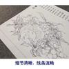 【有步骤、大彩图】李晓明工笔画白描底稿斗方小品《临宋吉祥多子图》石榴初学者临摹花鸟线稿K057 商品缩略图4