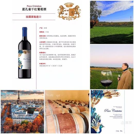 法国原装进口 蓝孔雀干红葡萄酒 750ml 商品图1