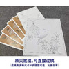 【有步骤、大彩图】李晓明工笔画白描底稿斗方小品《临宋桃花山鸟图》初学者临摹花鸟线稿KL12 商品缩略图1