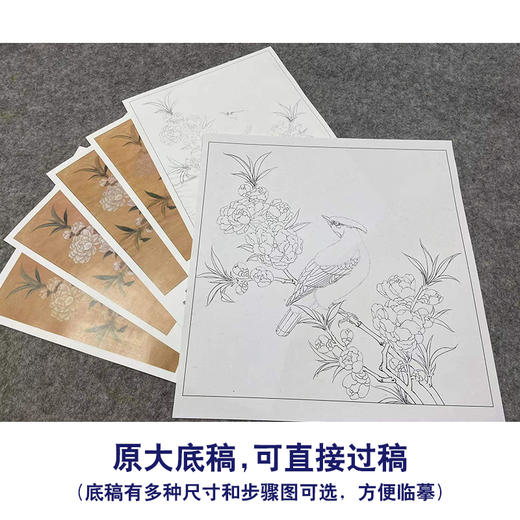 【有步骤、大彩图】李晓明工笔画白描底稿斗方小品《临宋桃花山鸟图》初学者临摹花鸟线稿KL12 商品图1