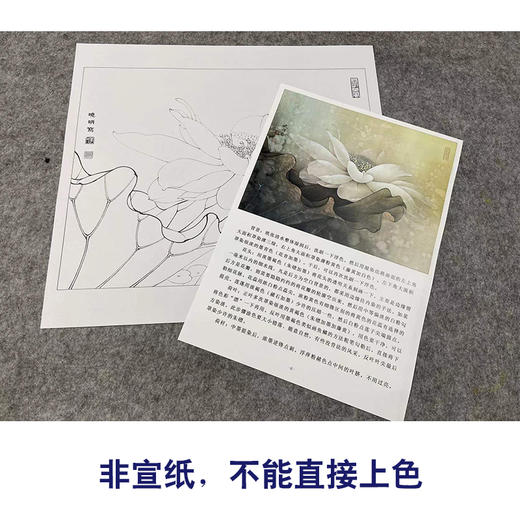 【有步骤、大彩图】李晓明工笔画白底描斗方小品《荷韵生辉》荷花初学者临摹花鸟线稿KL24 商品图2
