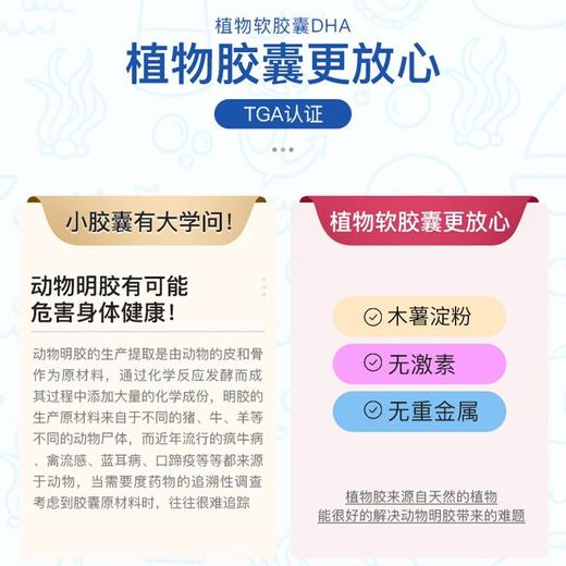 【领券4瓶到手单价199】澳乐乳 儿童DHA藻油胶囊90粒*1瓶 DHA儿童宝宝dha藻油胶囊 商品图4