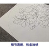 【有步骤、大彩图】李晓明工笔画白描底稿圆形小品《金背大红》牡丹初学者临摹花鸟线稿KA02 商品缩略图4