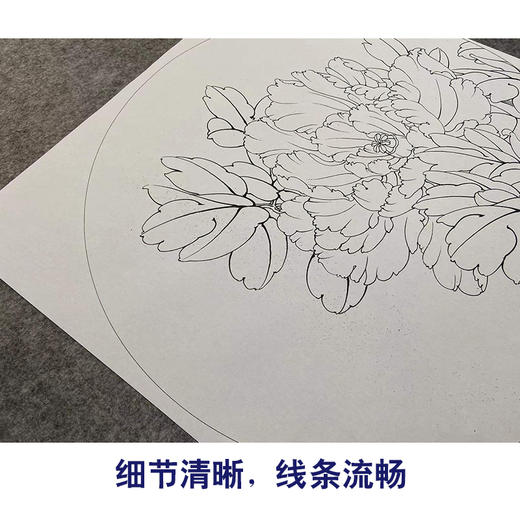 【有步骤、大彩图】李晓明工笔画白描底稿圆形小品《金背大红》牡丹初学者临摹花鸟线稿KA02 商品图4