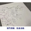 【有步骤、大彩图】李晓明工笔画白描底稿斗方小品《芙蓉面》牡丹初学者临摹勾线花鸟线稿K026 商品缩略图4