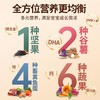 窝小芽一周面210g 商品缩略图1